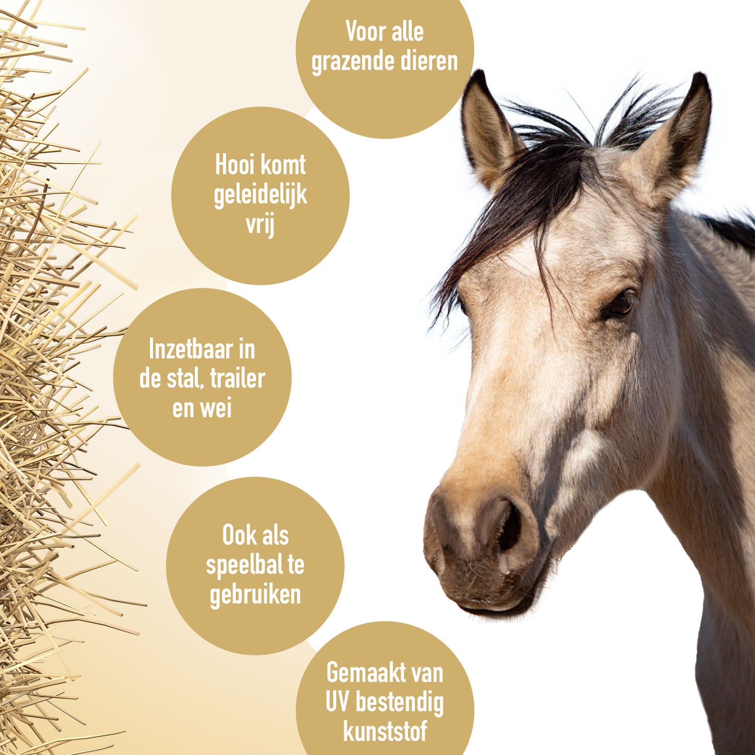 Hay Slow Feeder Fun & Flex Groen