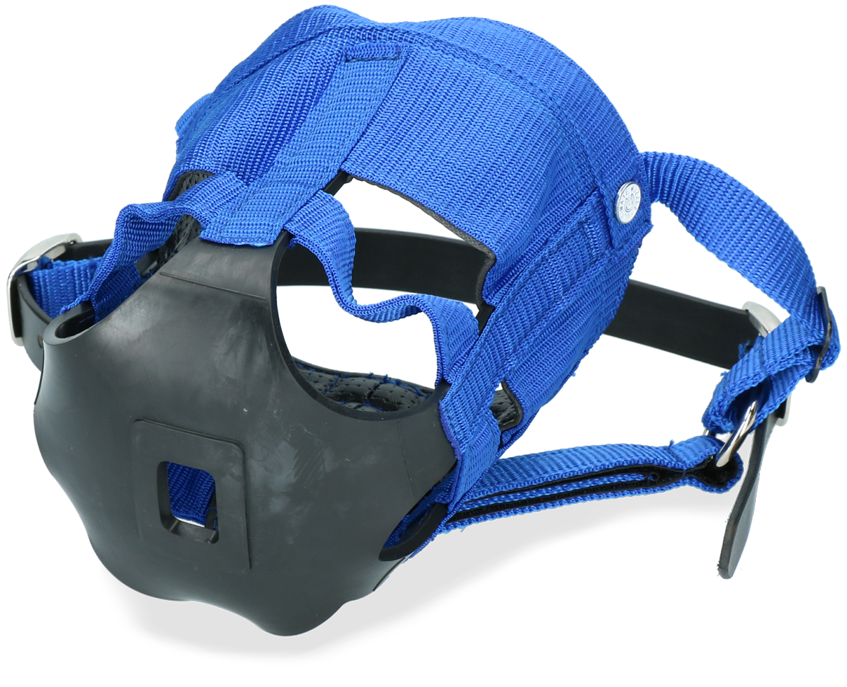 The Ultimate Muzzle Shetland