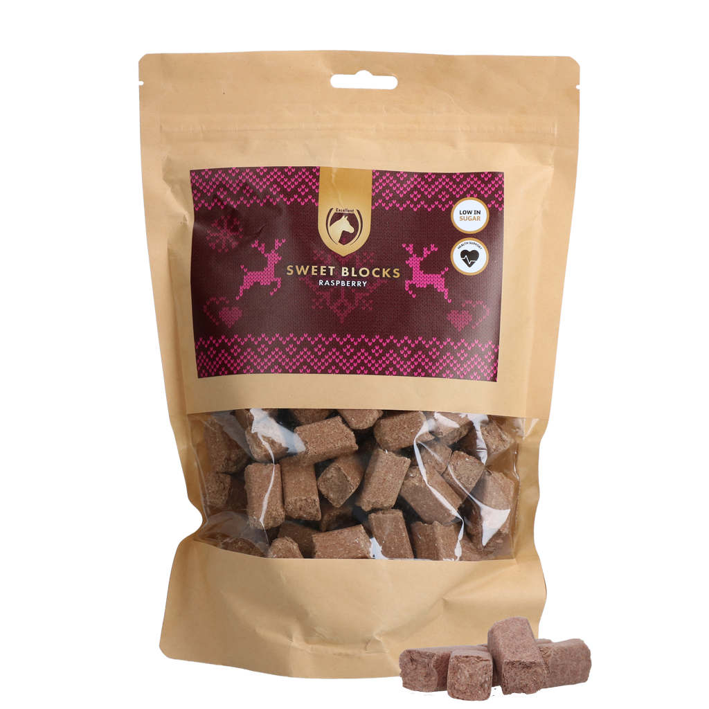 Excellent Horse Christmas Sweet Blocks Framboos