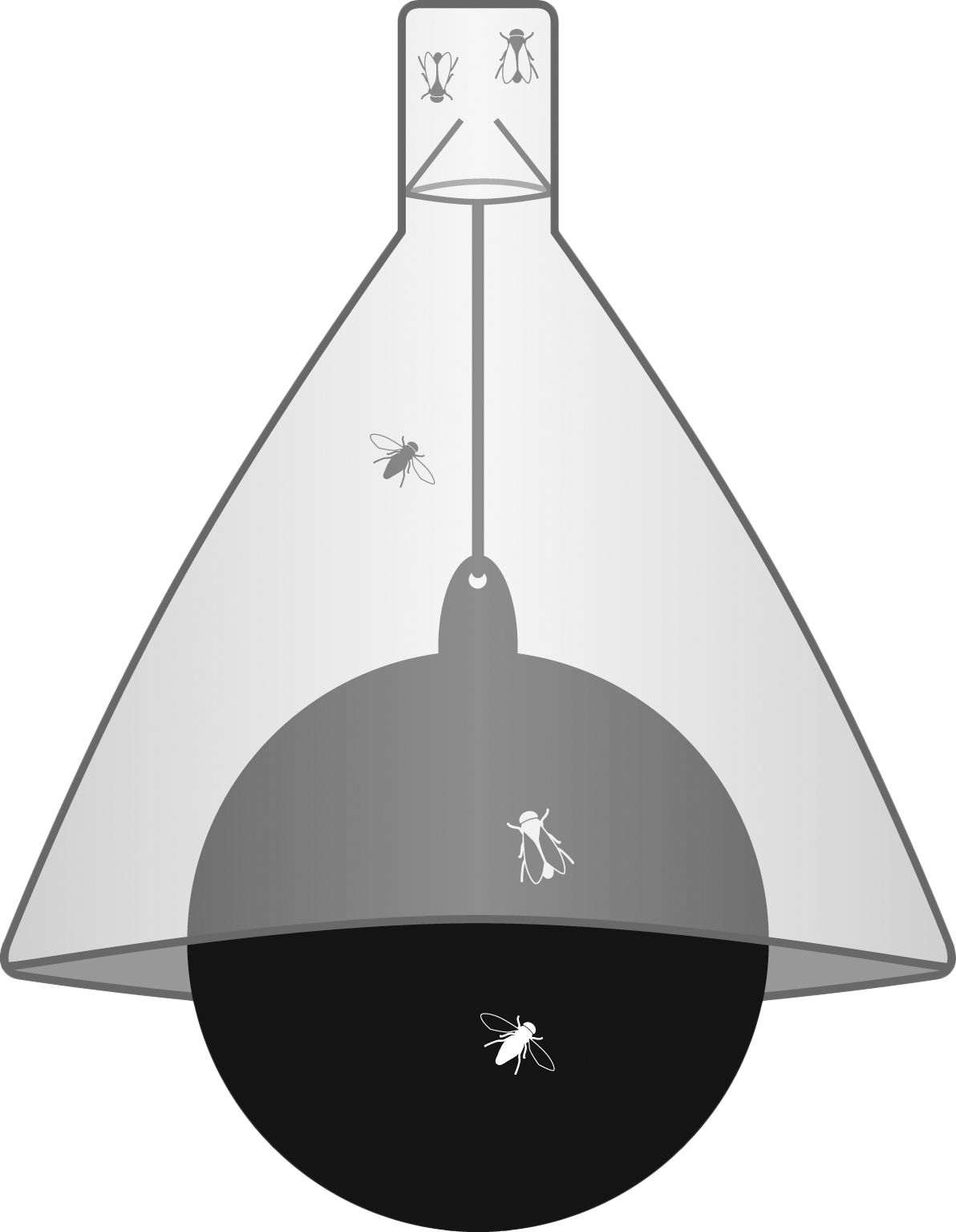 TaonX Dazenval Compleet