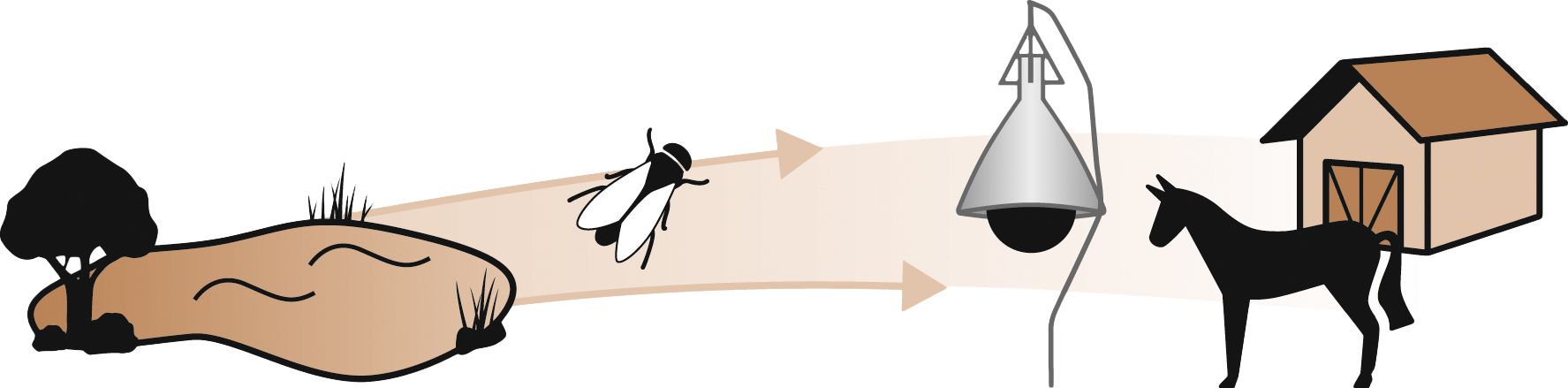 TaonX Dazenval Compleet