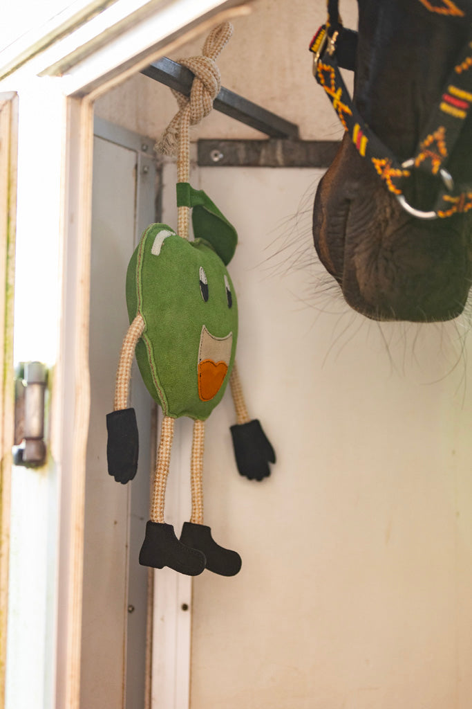 Excellent Horse Foodie Friends Apple