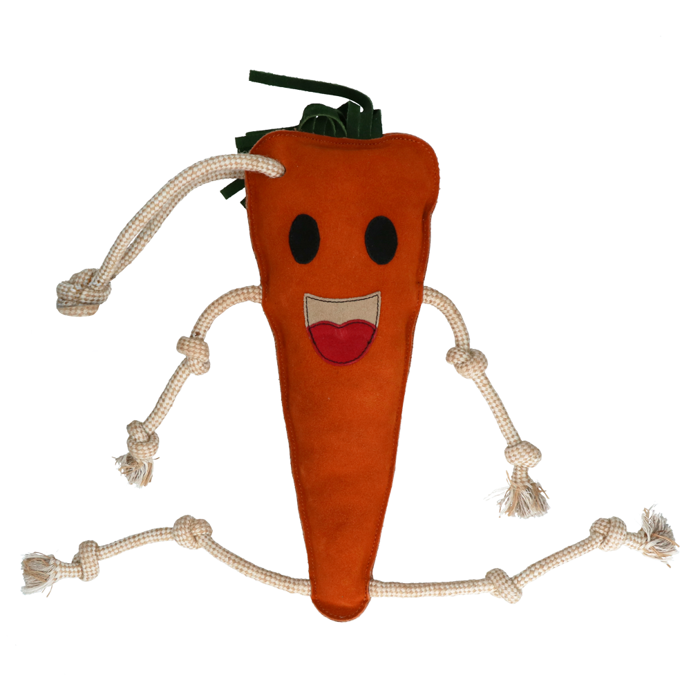 Excellent Horse Foodie Friends Carrot