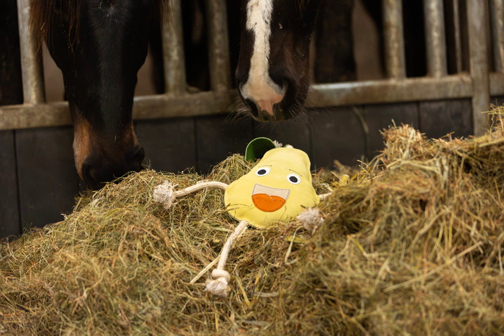 Excellent Horse Foodie Friends Pear