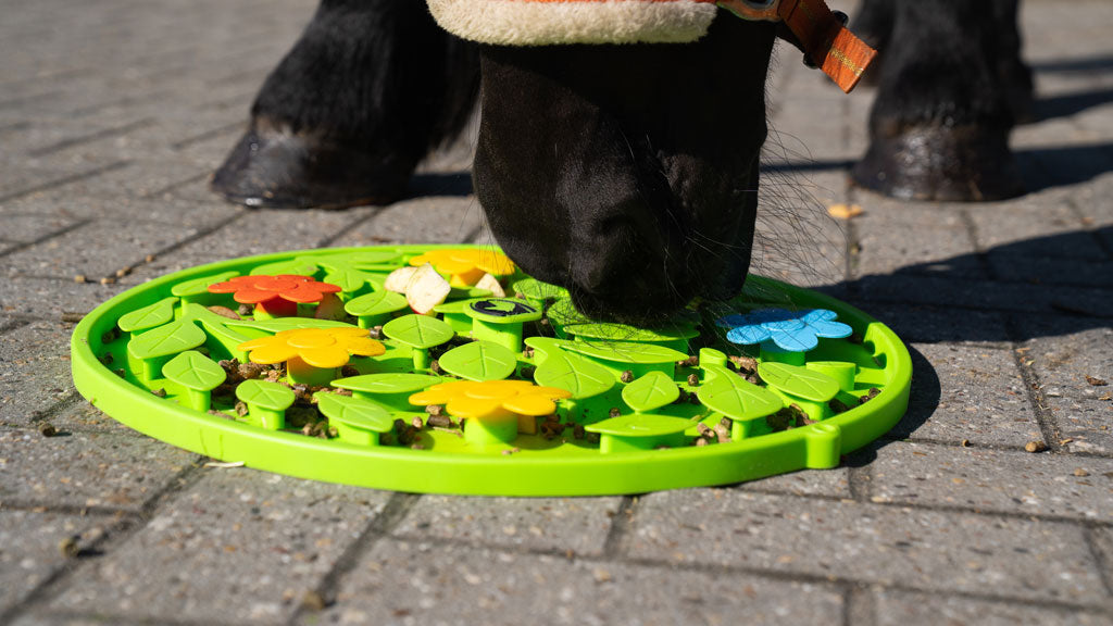 Excellent Horse Snuffle Mat Flower Power