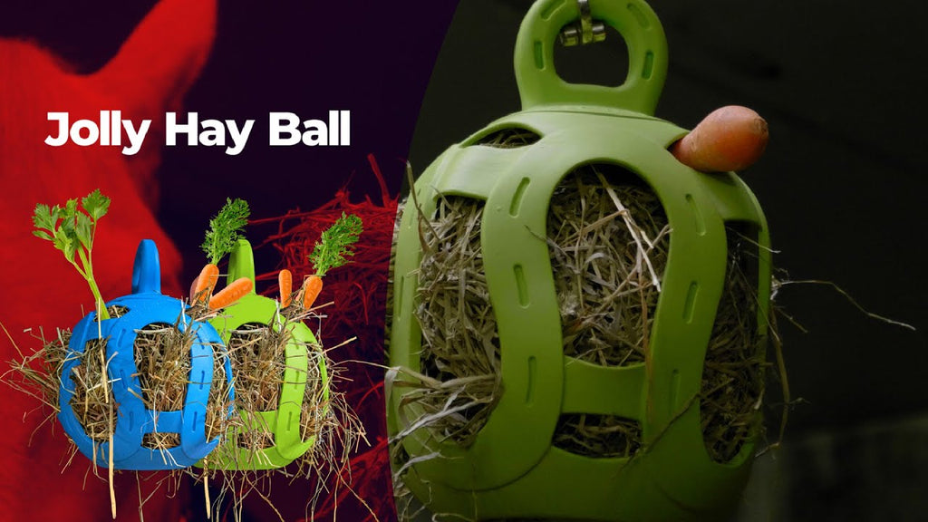 Jolly Hay Ball Blauw