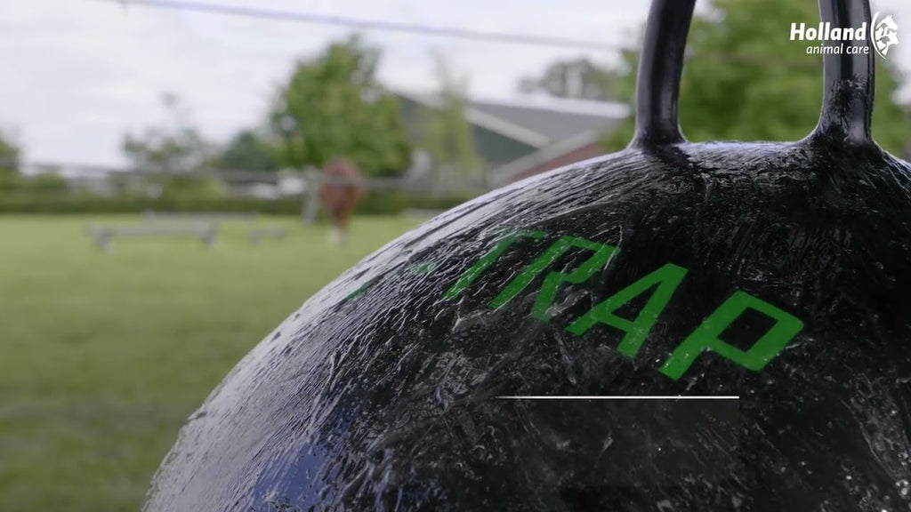 Sticky Trap Bal 60 cm