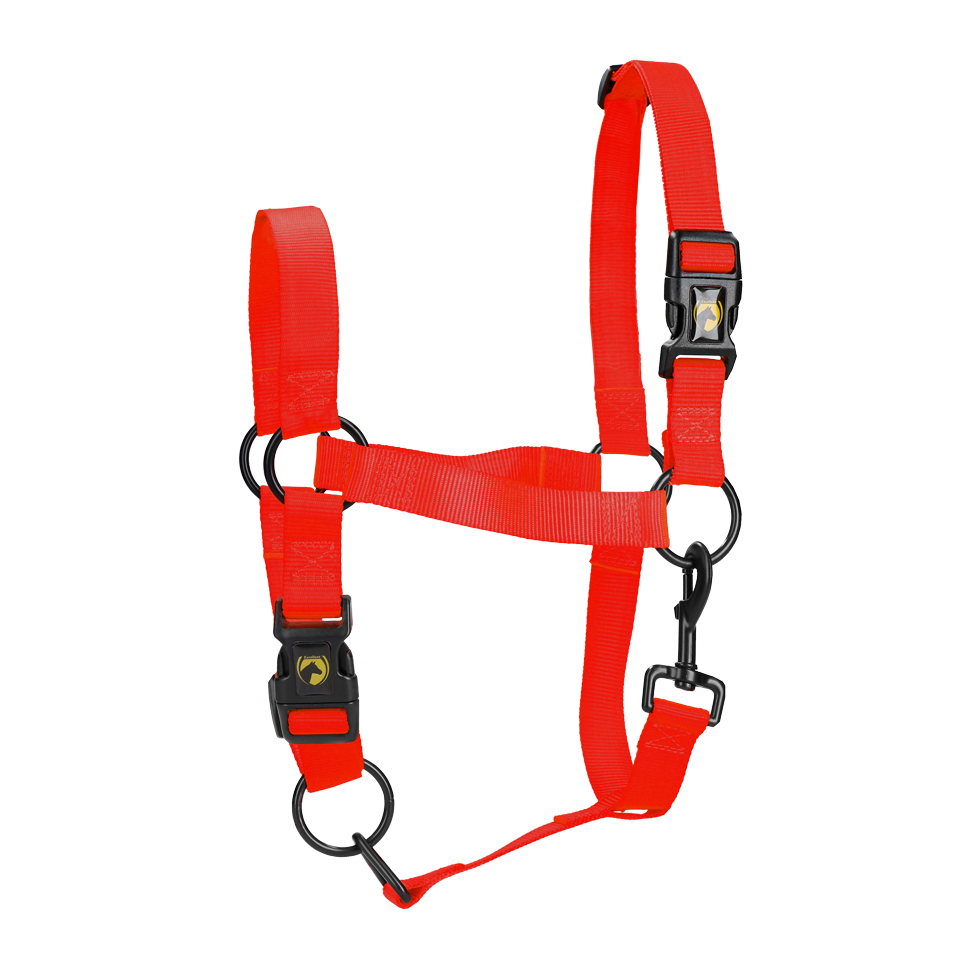 Excellent Essential Halster Rood M