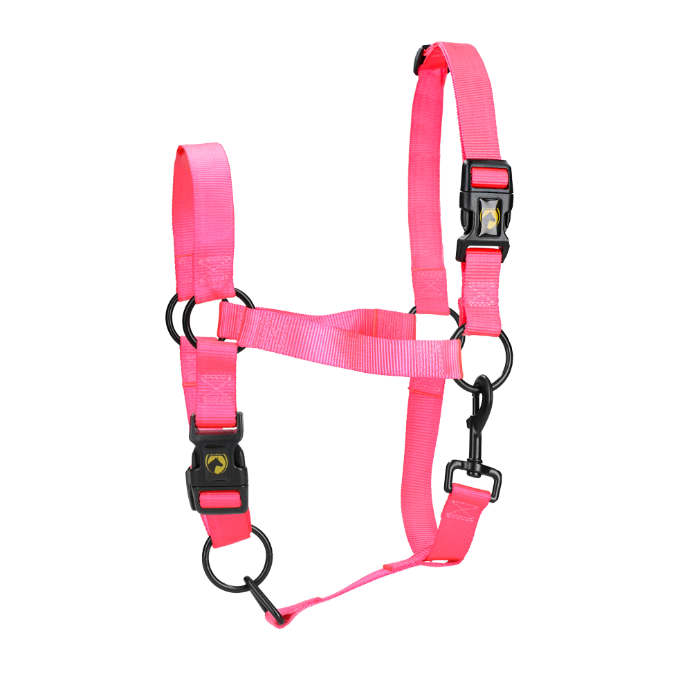 Excellent Essential Halster Roze L