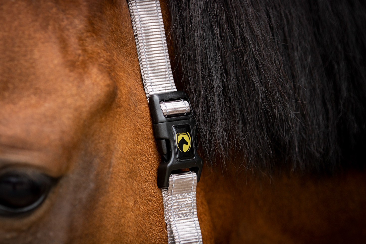 Excellent Premium Halster Grijs XS