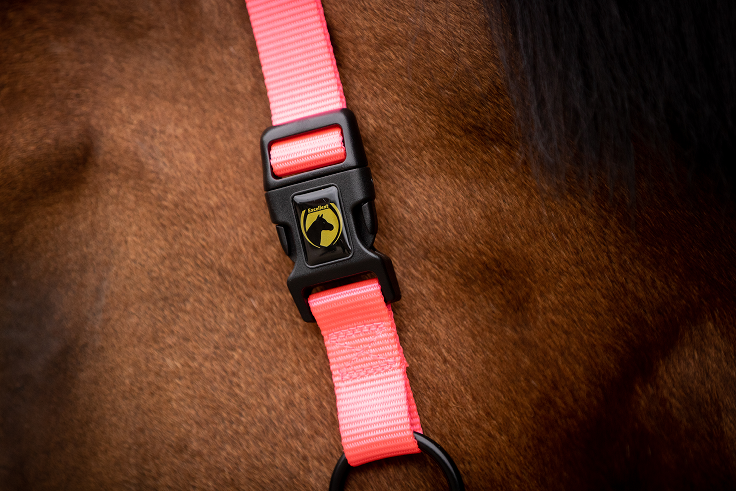 Excellent Premium Halster Roze XS