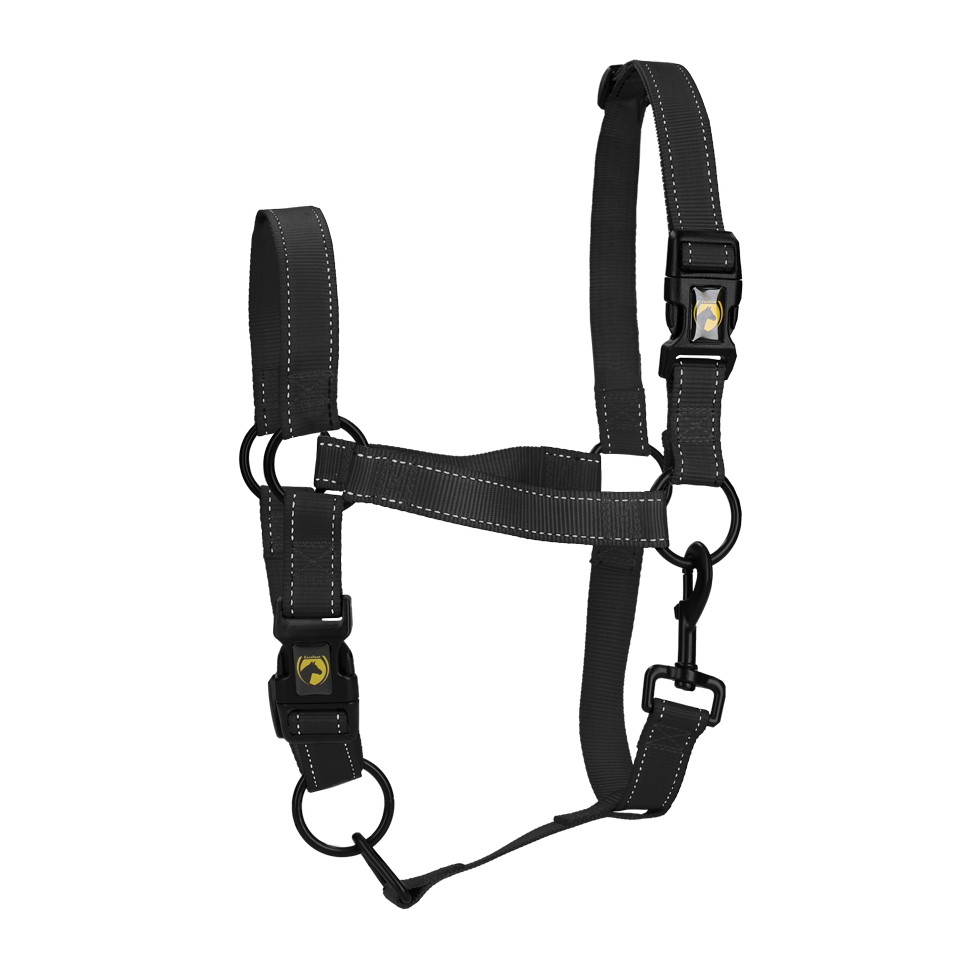 Excellent Premium Halster Zwart XL