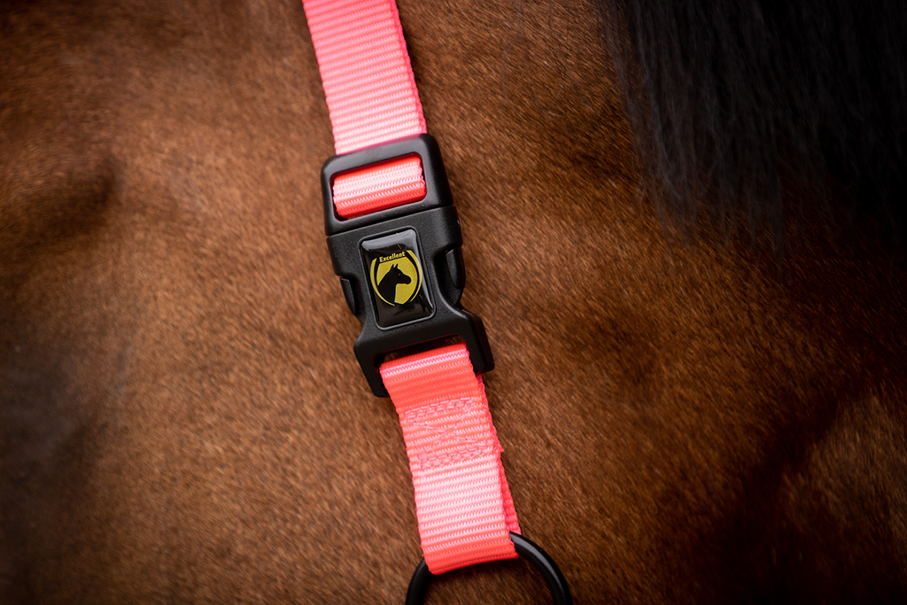 Excellent Superior Halster Roze XS