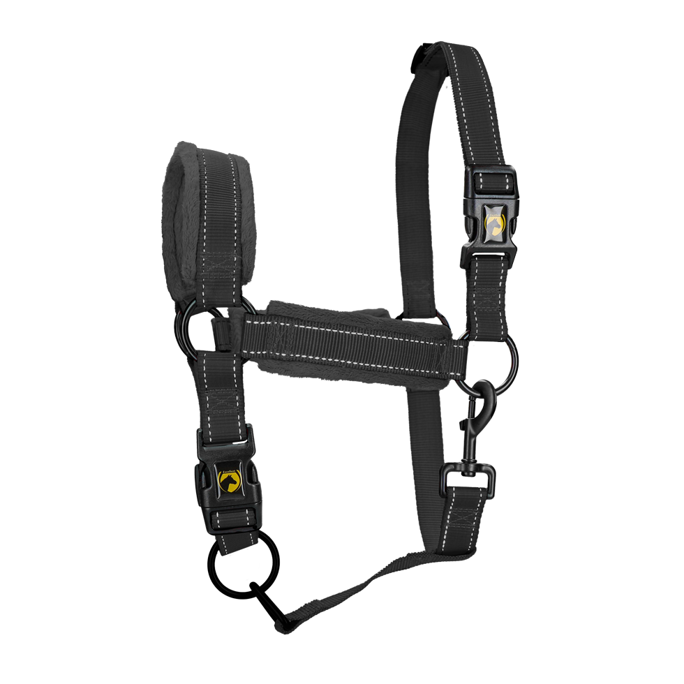 Excellent Superior Halster Zwart XL