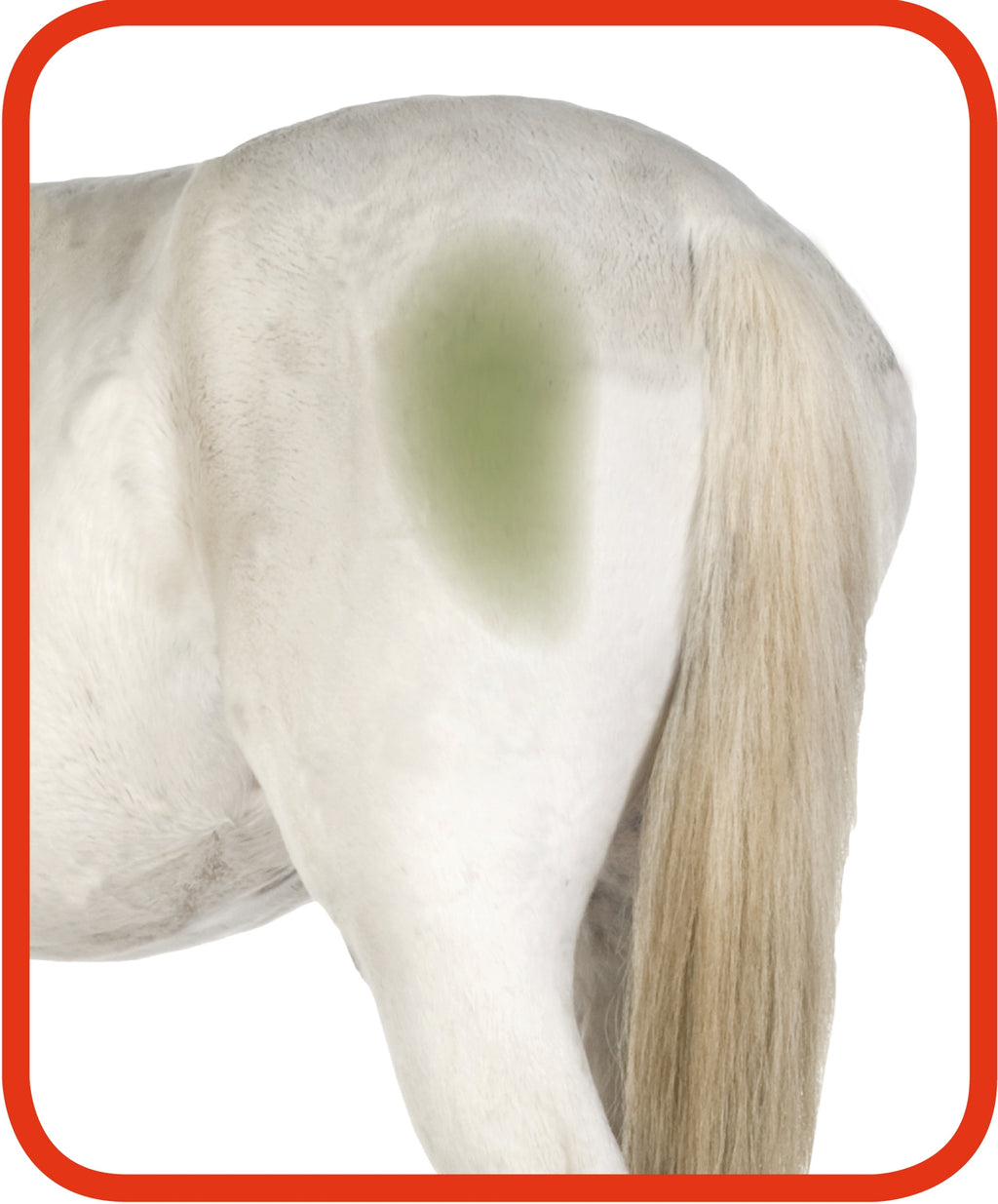 Excellent Horse Hi Gloss Clean Spray 500 ml