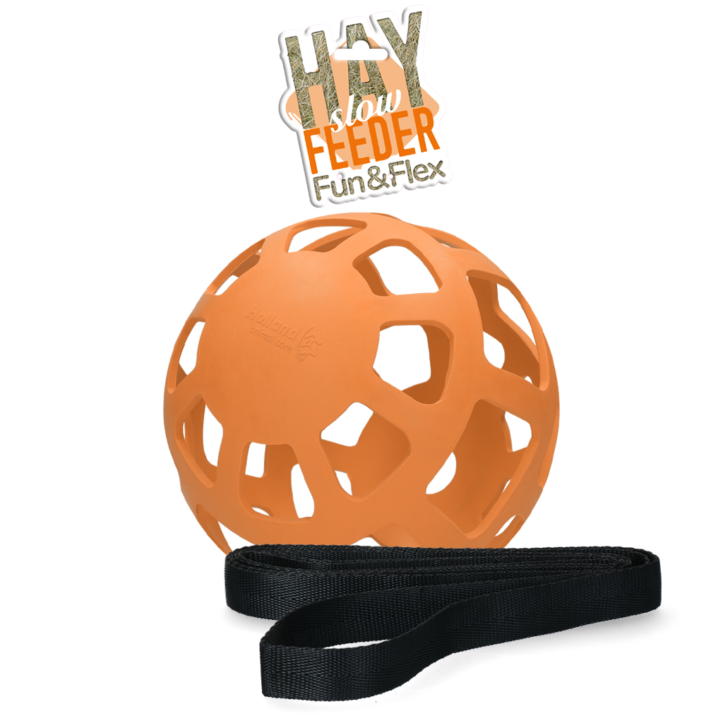 Hay Slow Feeder Fun & Flex Oranje