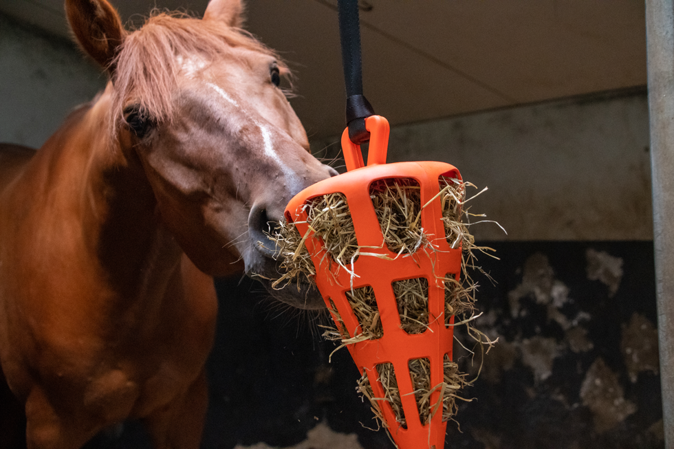 Hay Slow Feeder Fun & Flex Carrot Oranje
