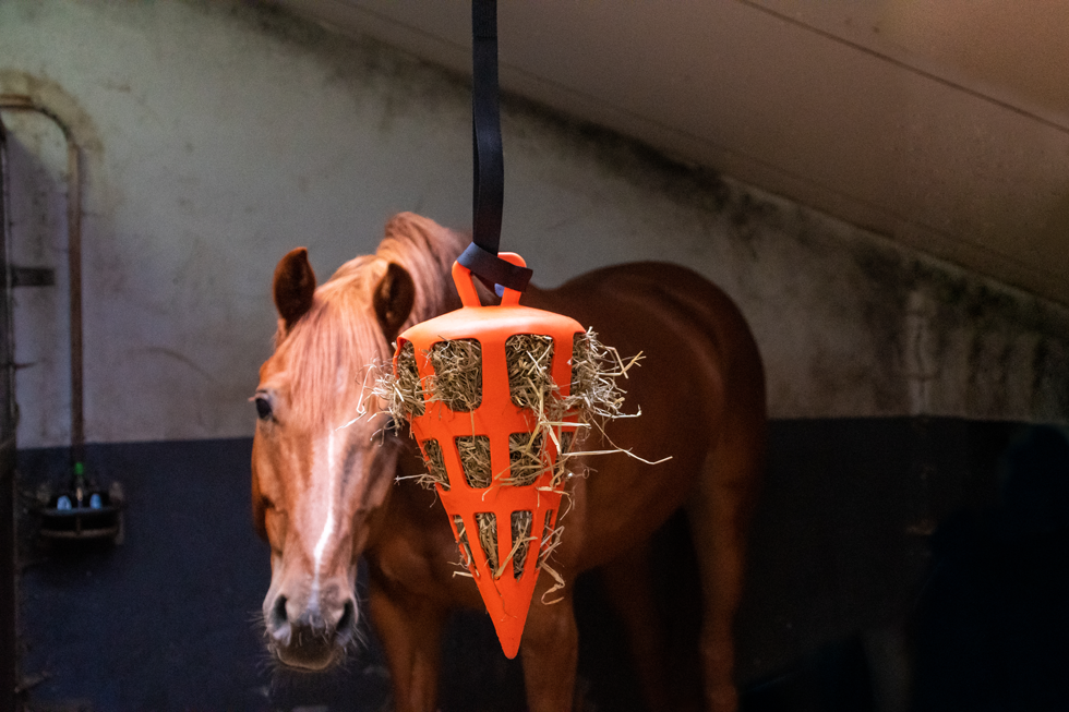 Hay Slow Feeder Fun & Flex Carrot Oranje