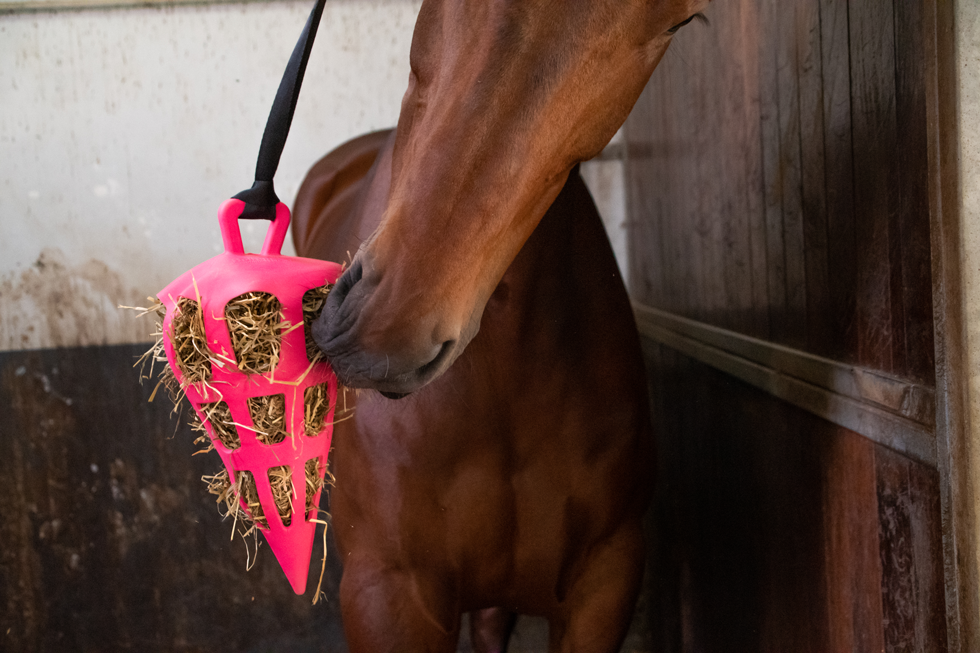 Hay Slow Feeder Fun & Flex Carrot Roze