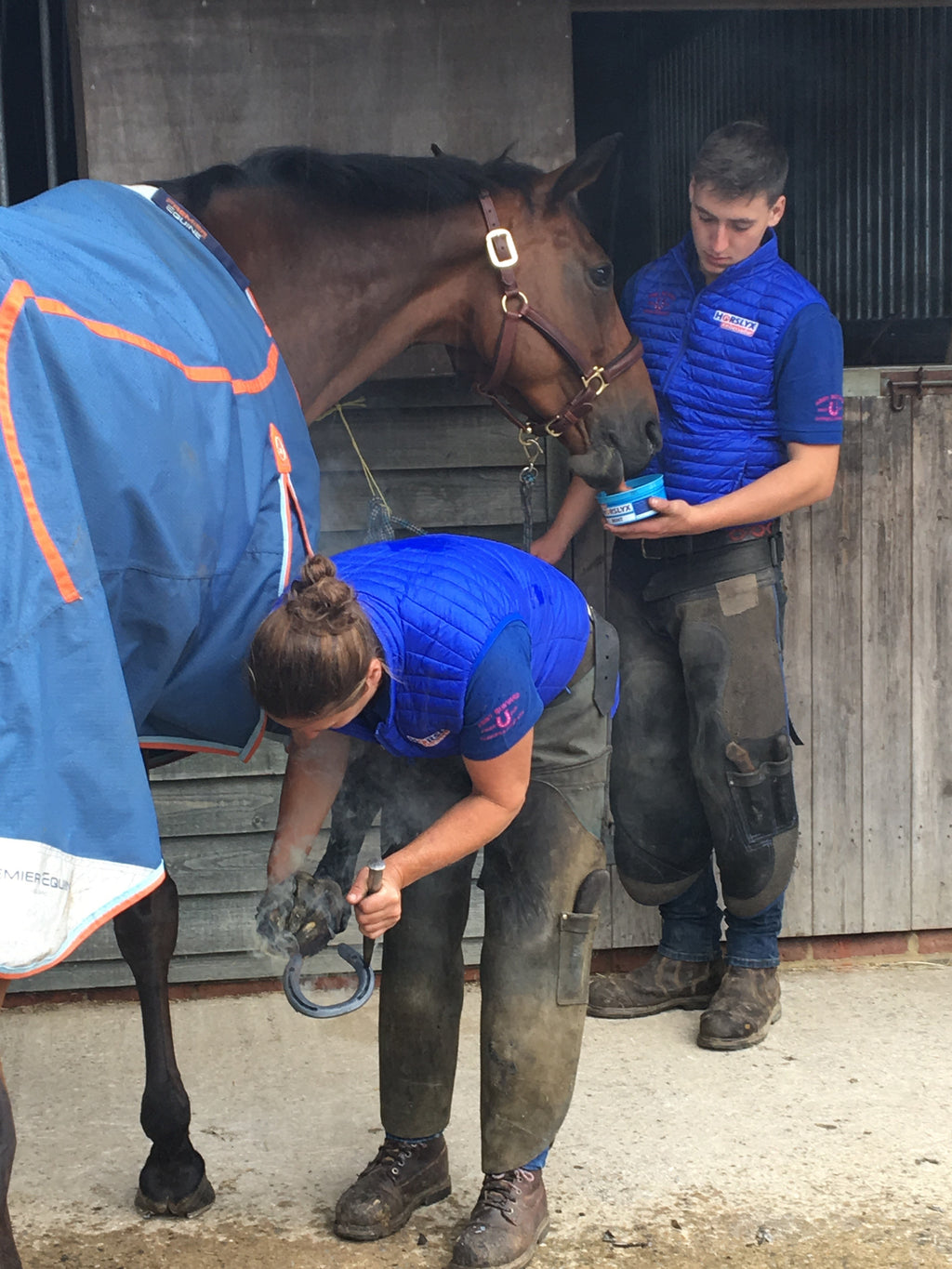 Horslyx Mini Spijsvertering