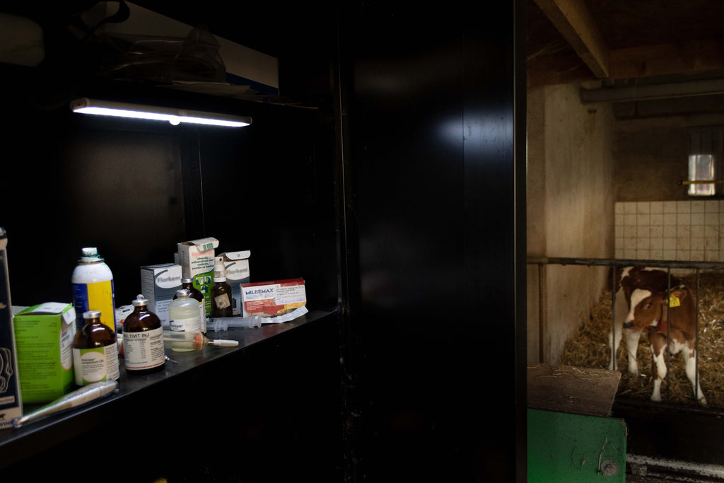 LED is more - LED Lamp 40 cm