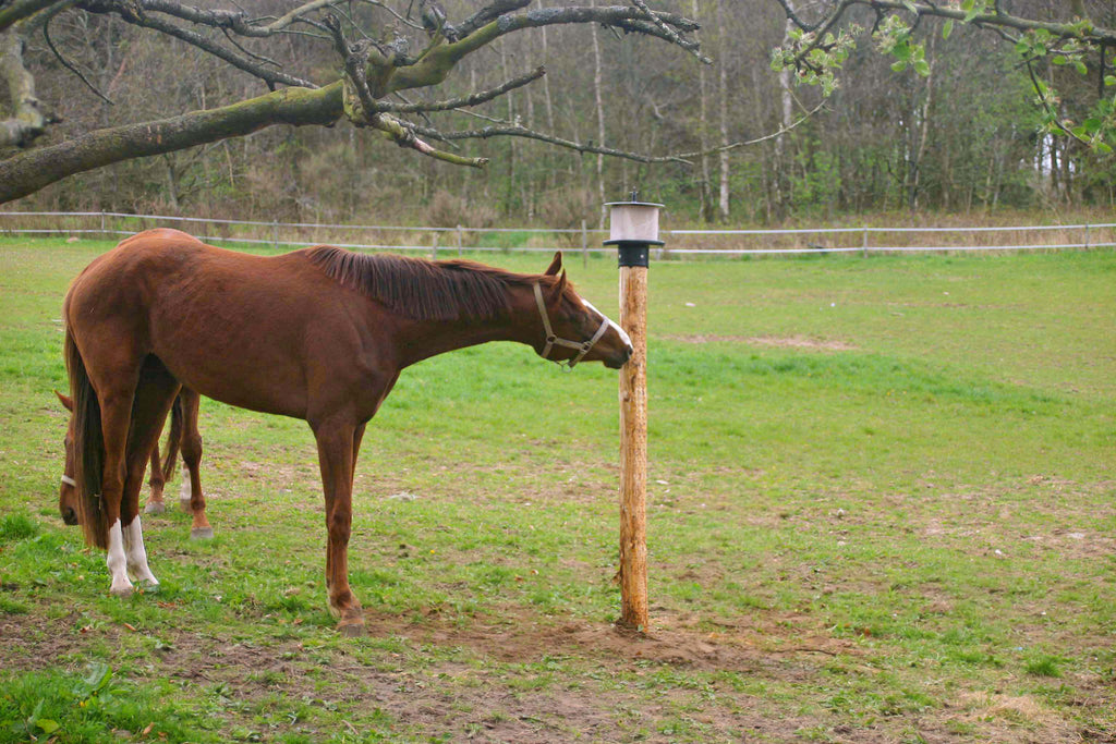 vPlast Liksteenhouder Paal