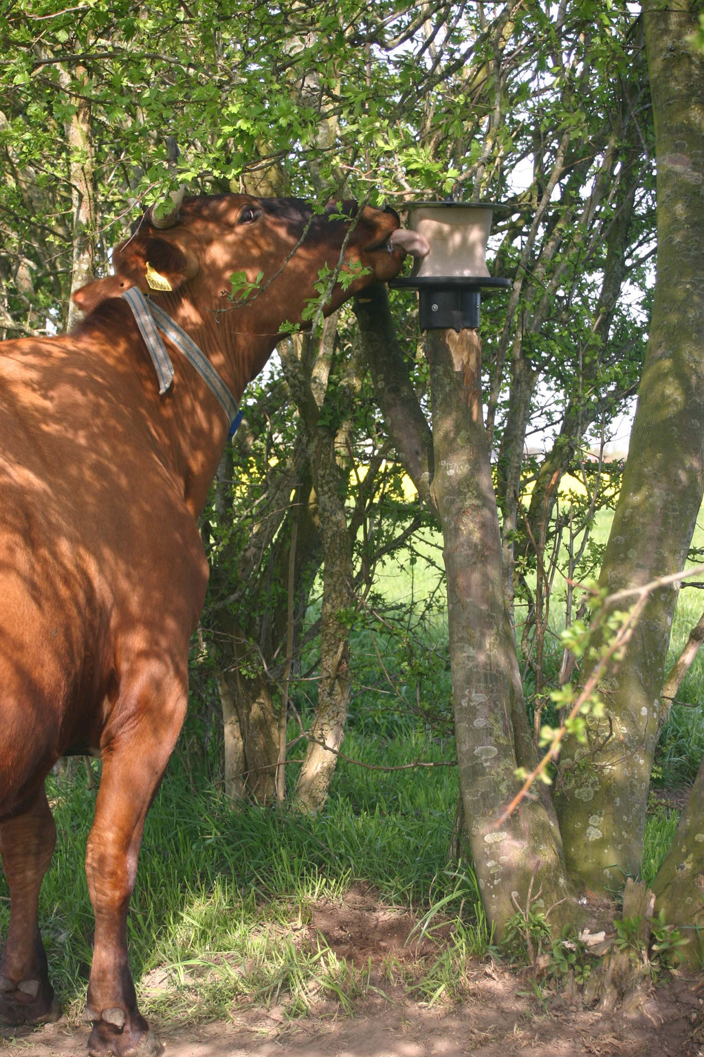 vPlast Liksteenhouder Paal