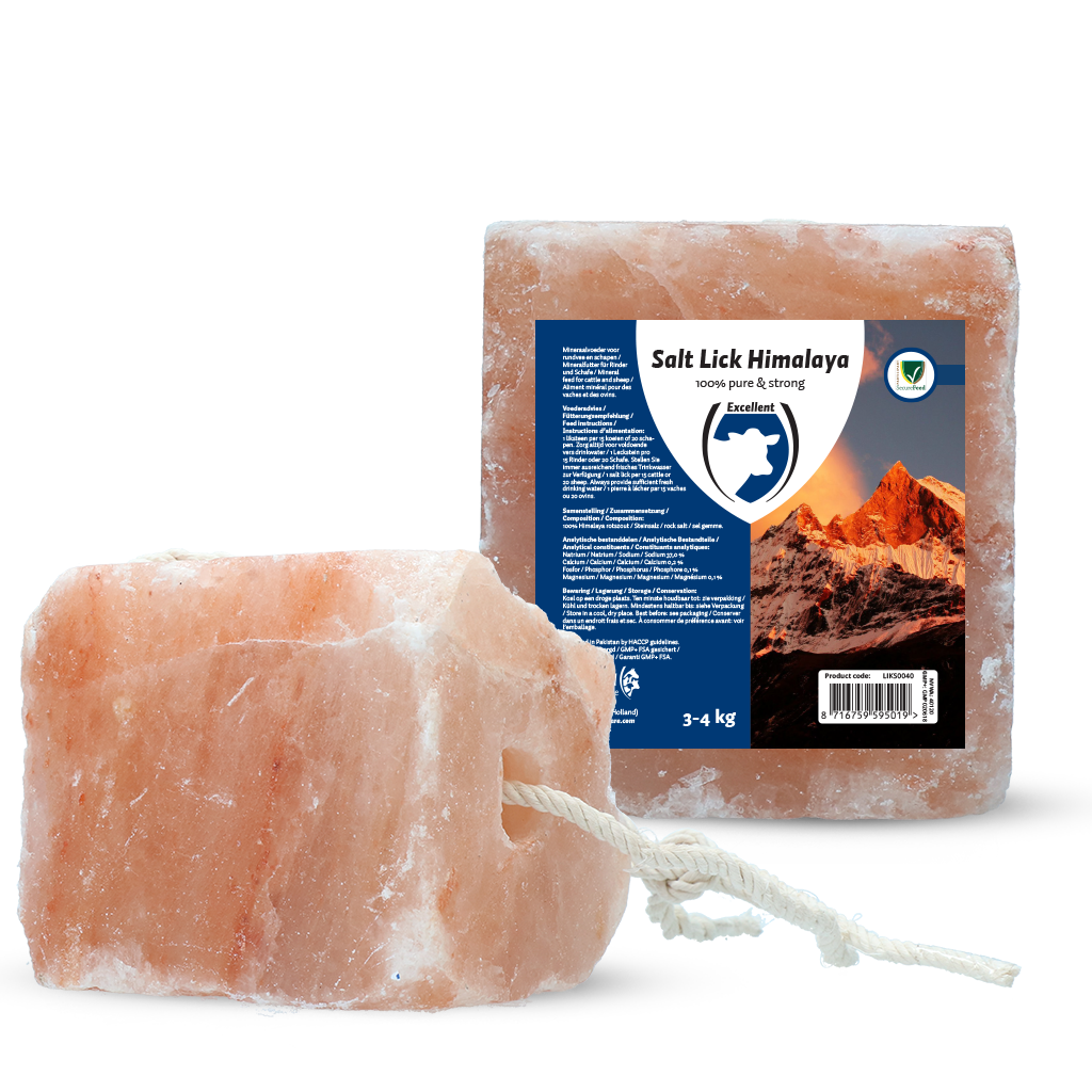 Excellent Liksteen Himalaya (met touw) 3-4 kg