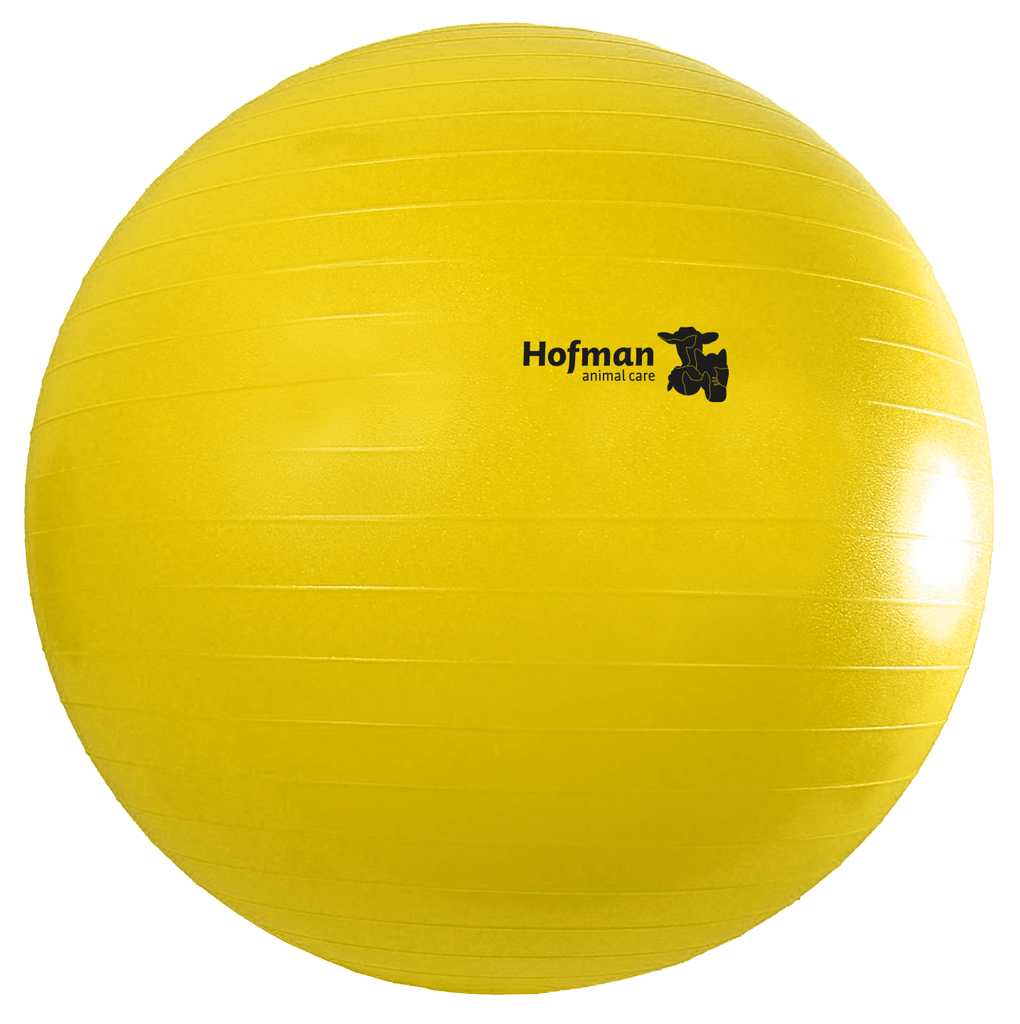 Maximus Power Play Ball 75 cm