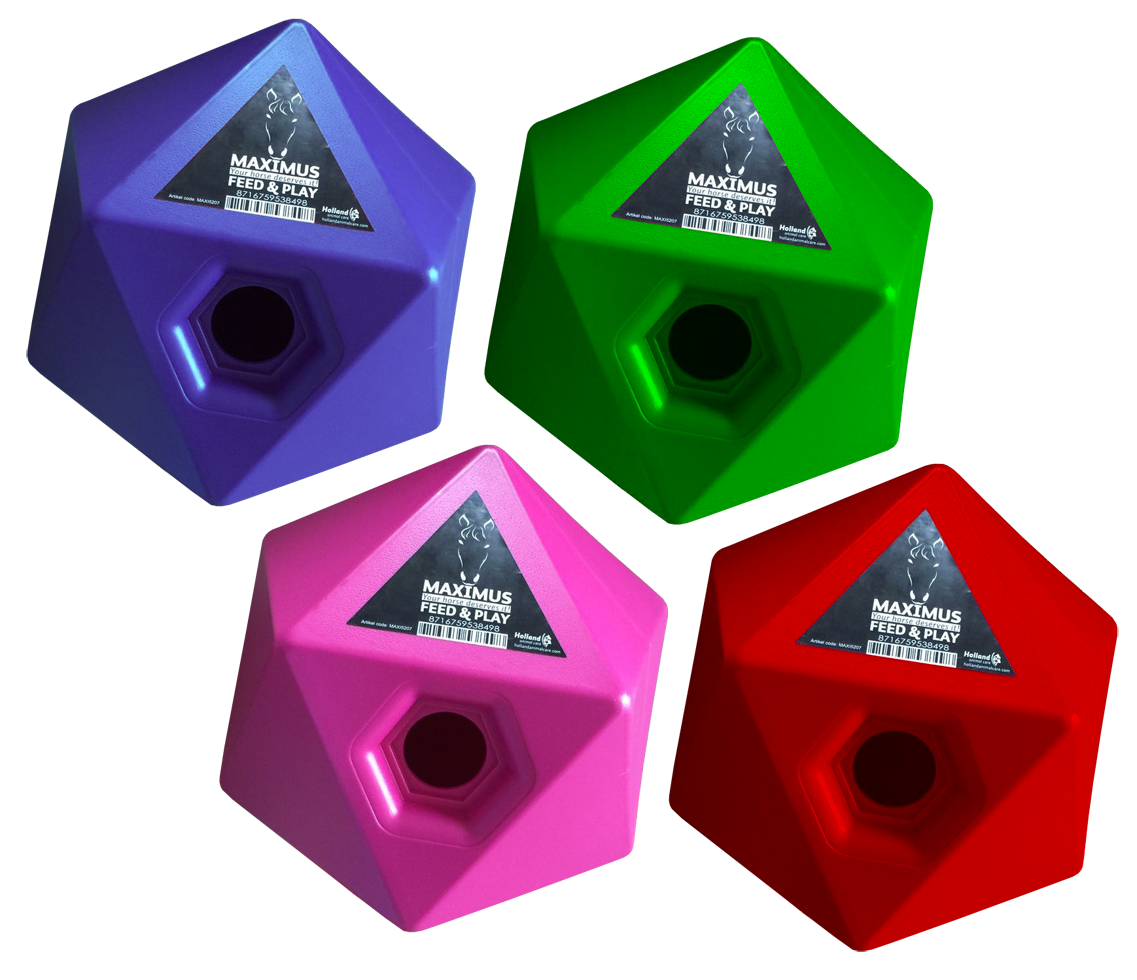 Maximus Feed & Play Rood