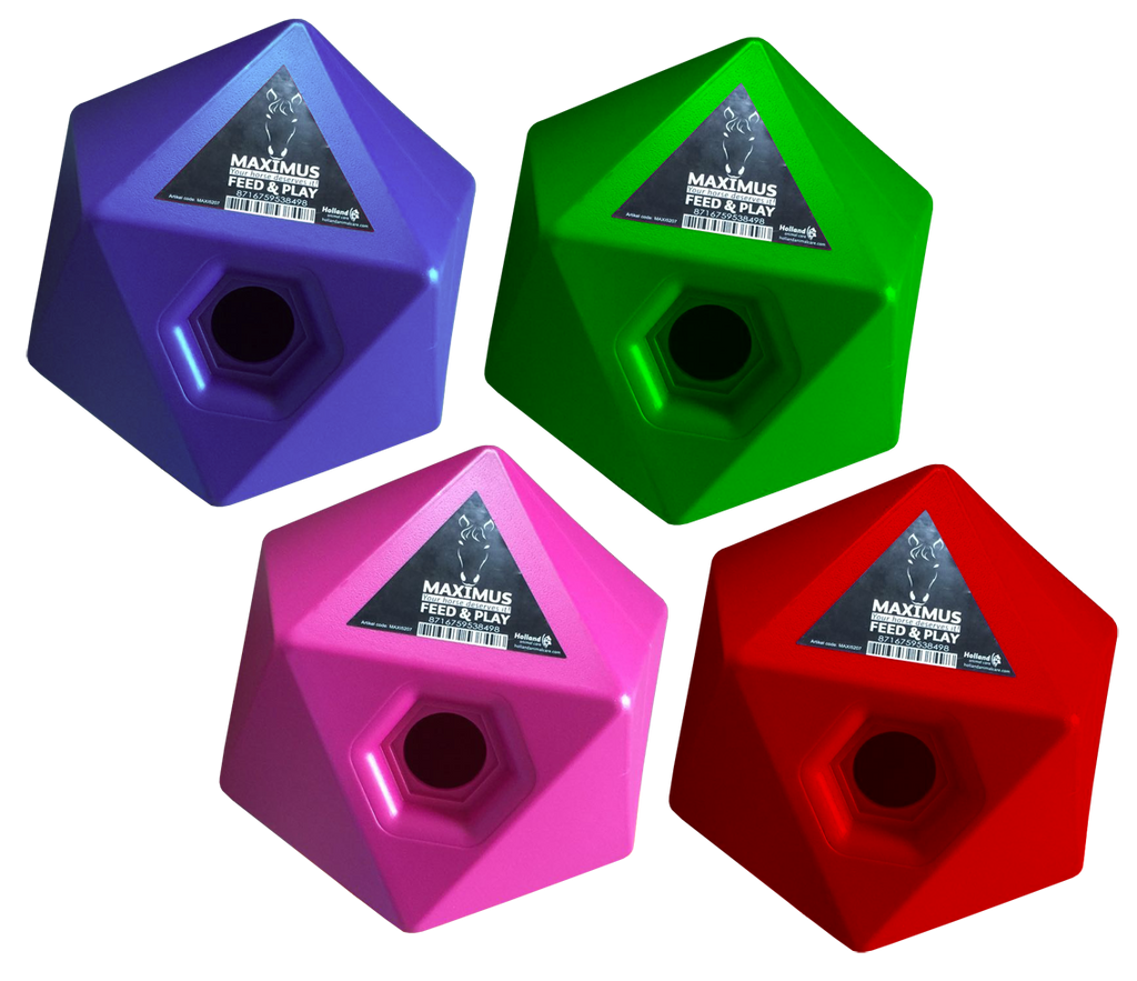 Maximus Feed & Play Roze