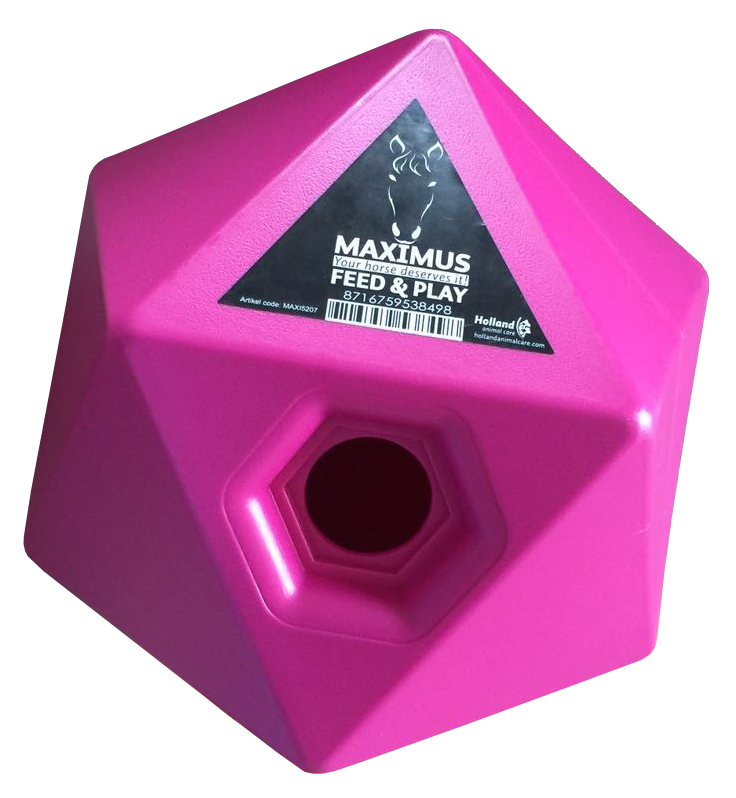 Maximus Feed & Play Roze