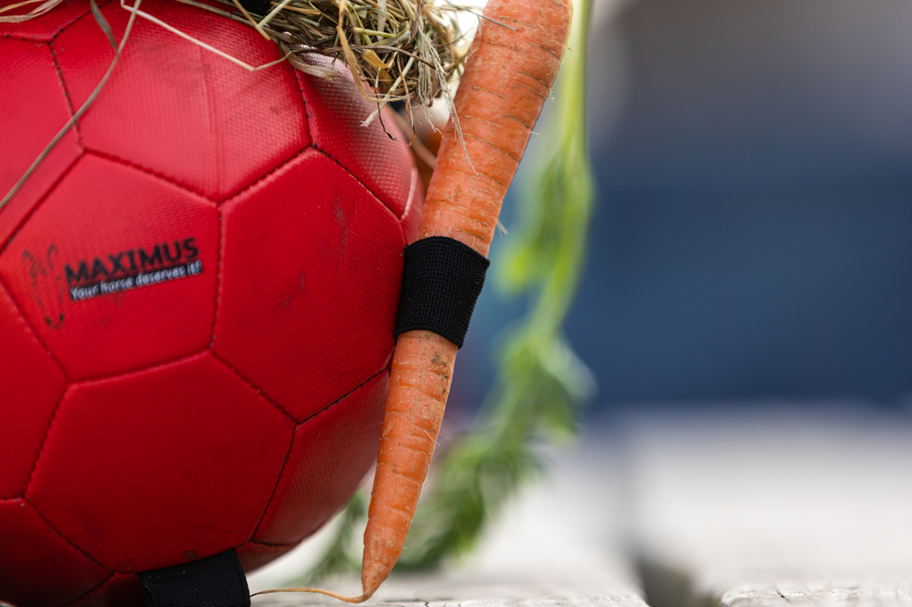 Excellent Horse Fun Play Ball Roze