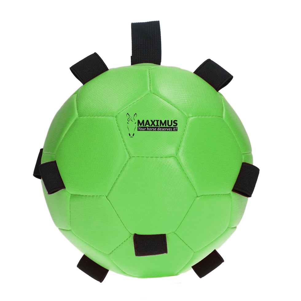Excellent Horse Fun Play Ball Groen