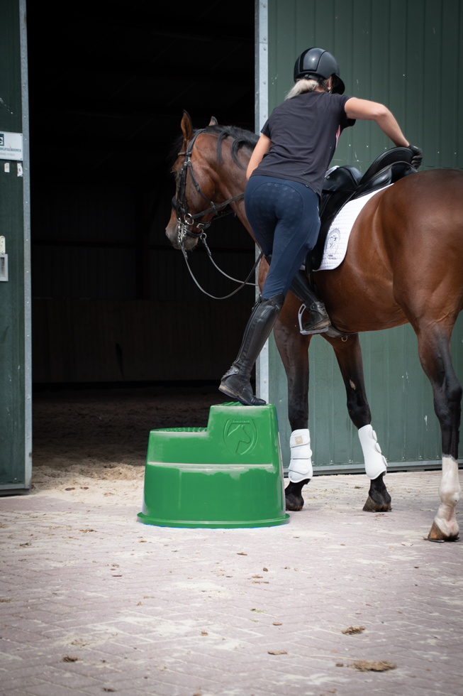 Excellent Horse Opstaphulp 3 Treden Groen