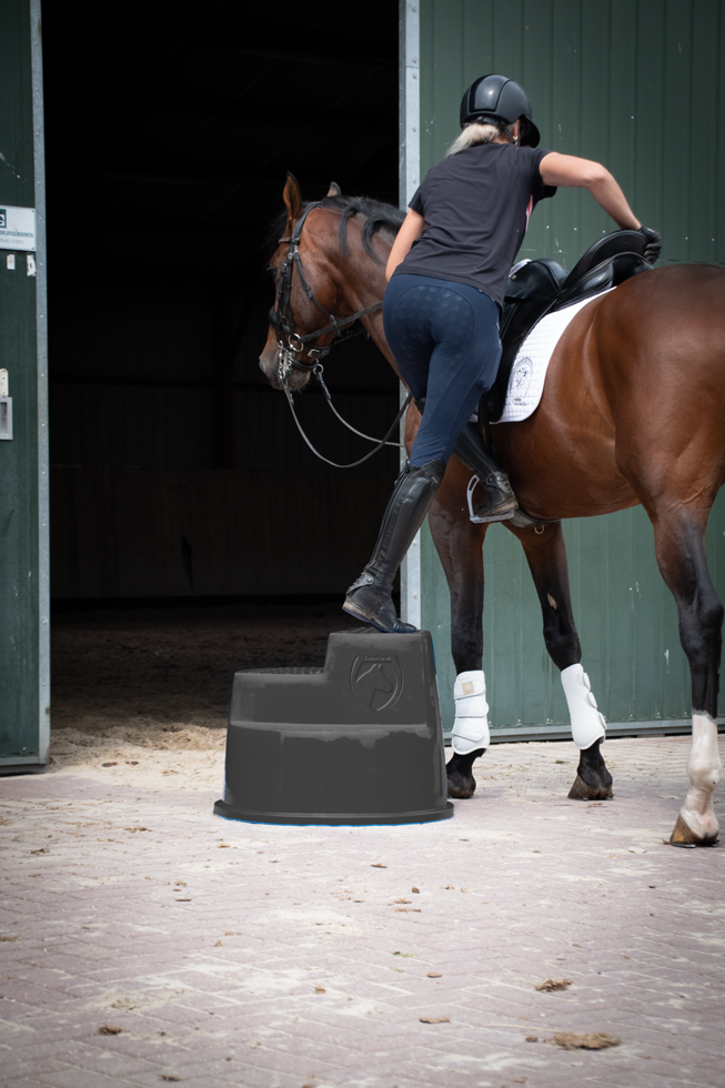Excellent Horse Opstaphulp 3 Treden Zwart