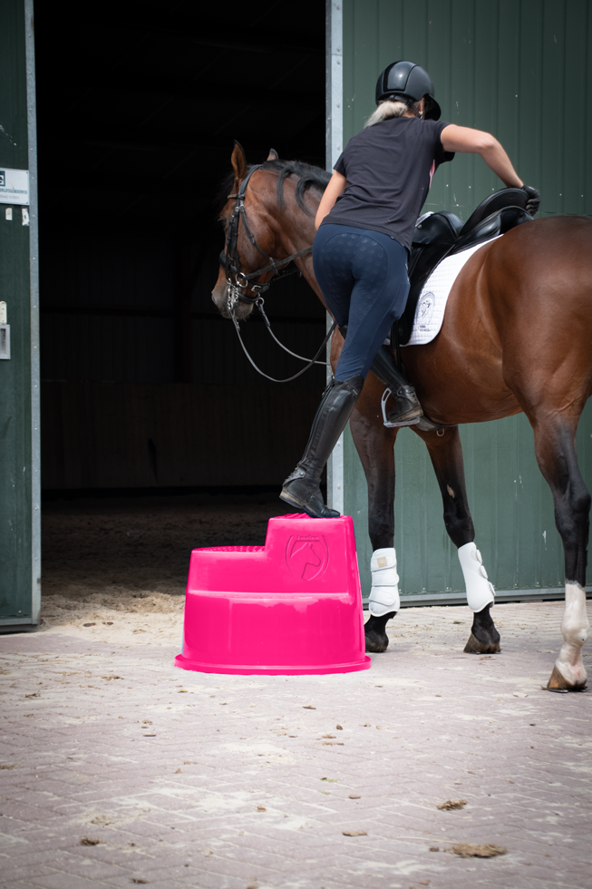 Excellent Horse Opstaphulp 3 Treden Roze