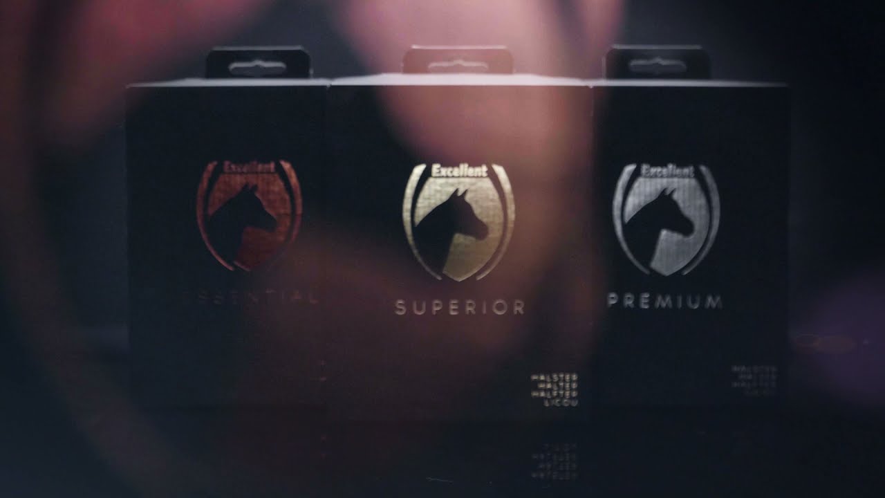 Excellent Essential Halster Zwart XS