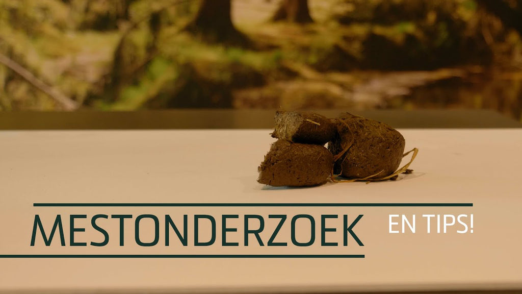 Excellent Horse Herbs Vlozaad 1,2 kg