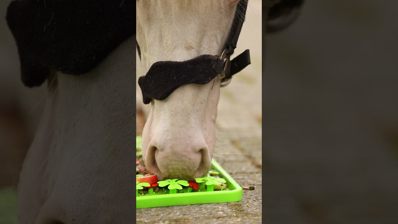Excellent Horse Snuffle Mat