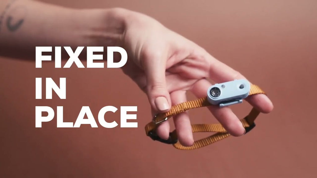 Tickless Horse minimaal 6 maanden bescherming Beige