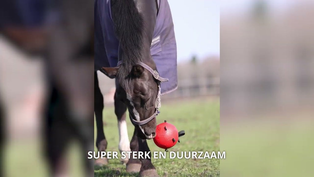 Excellent Horse Fun Play Ball Groen