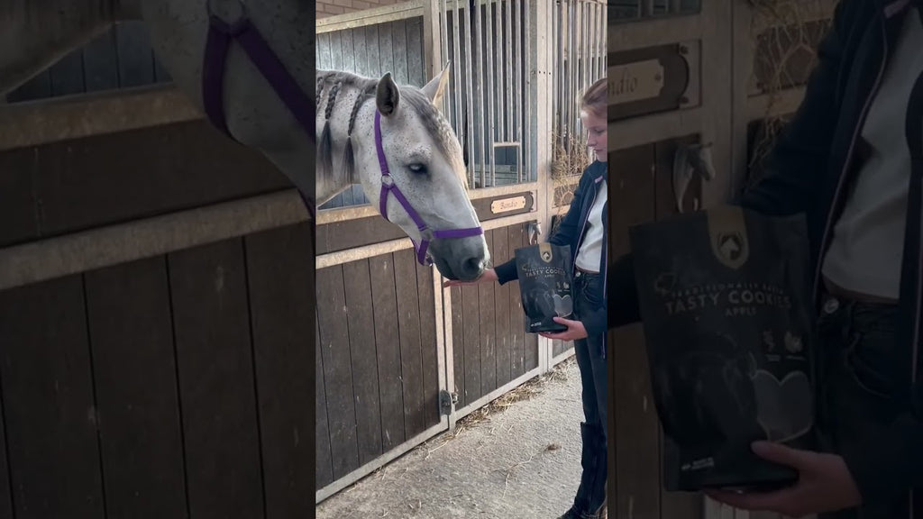 Excellent Horse Ambachtelijke Paardenkoekjes Appel