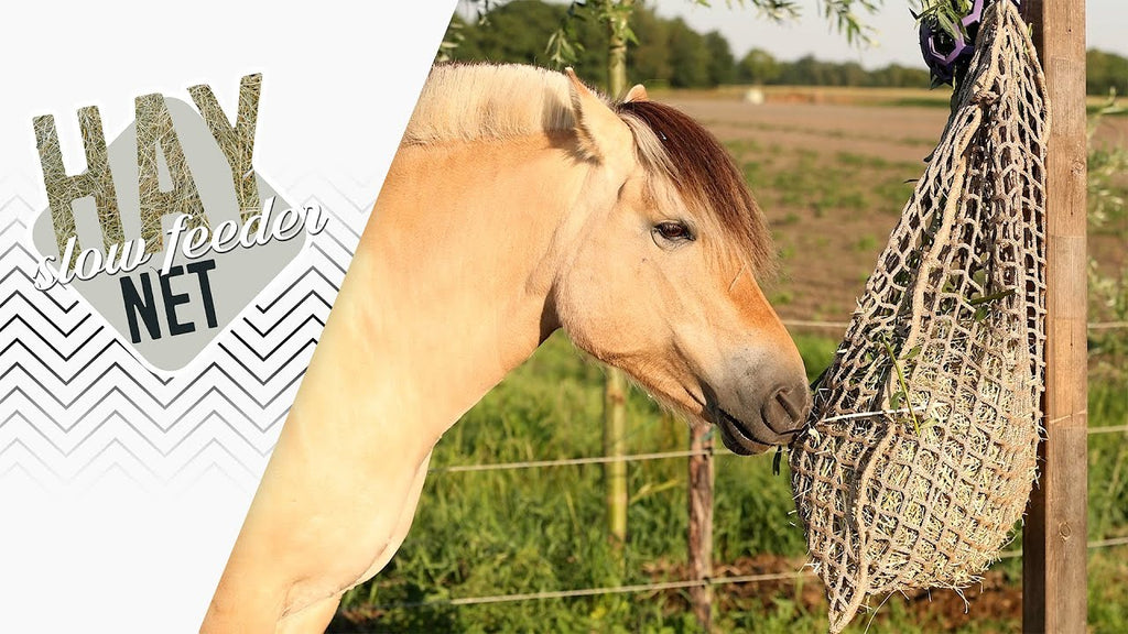 Hay Slow Feeder Net Ronde Baal