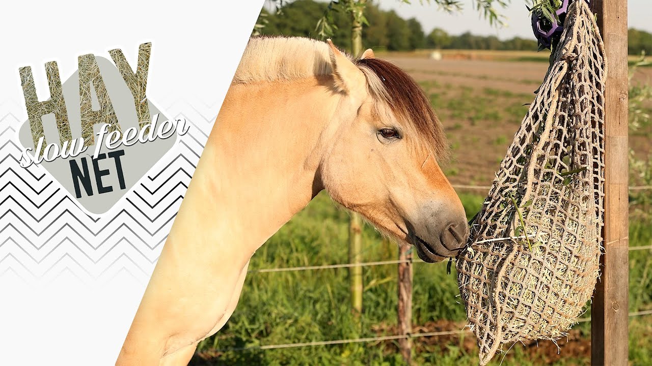 Hay Slow Feeder Net Ronde Baal