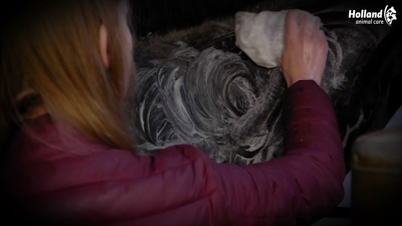 Excellent Horse Hi Gloss Shampoo Bar Appel 60 g