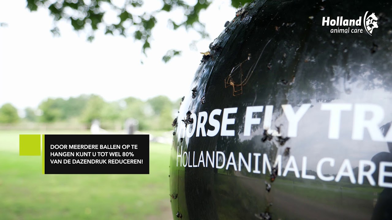 Loer Dazenval Compleet